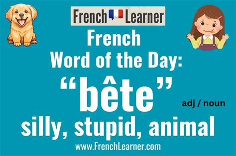 what does bete mean in french.